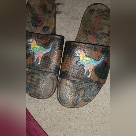 Coach Slide With Rainbow Signature Rexy - Picture 3 of 3